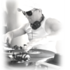 Master Mix avec Tony Jay